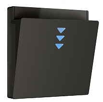 Накладка для электронного карточного выключателя (черный)