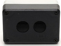 Пост кнопочный 2-мес. P2BOS IP65 Emas