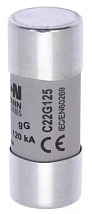 Предохранитель керам. CYLINDRICAL FUSE 22 x 58 125A GG 500V AC