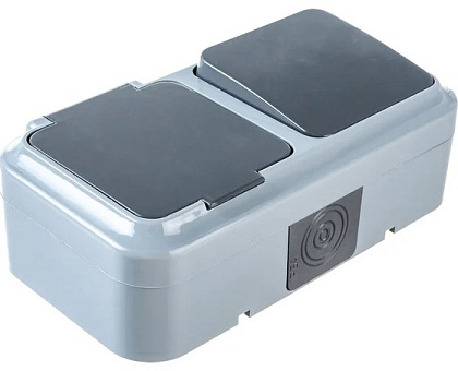 Блок ОУ 1кл. выкл.+ розетка с/з Серый Пралеска Bylectrica