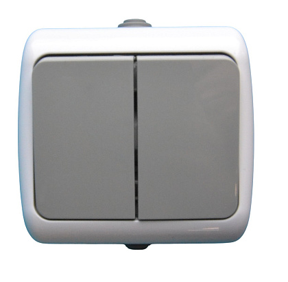 Выключатель ОУ 2-кл. IP54 SD-V1002WG "Standard" AWSproducts