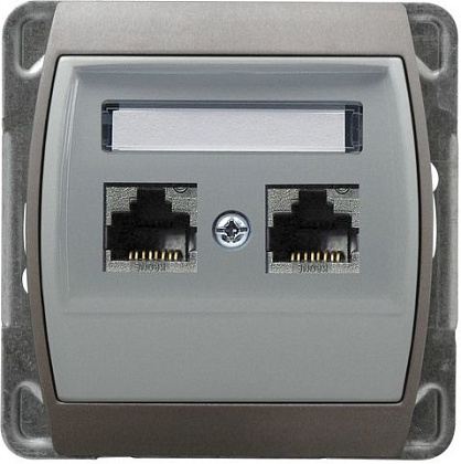 Розетка GPK-2J/K/18/23 393 компьютерная двойная серебро/титан