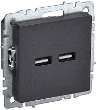 Розетка USB 2-я (A+A 5В 3,1А) черный BRITE IEK