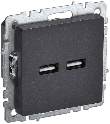 Розетка USB 2-я (A+A 5В 3,1А) черный BRITE IEK