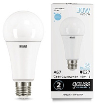 Лампа Gauss Elementary LED  A67 30W 220V E27 6500K 2390Lm