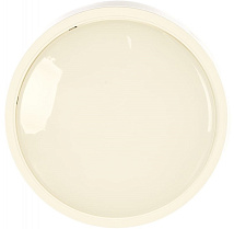 Светильник LED ЖКХ СПБ-2 24W 1700Lm 4000K IP20 круг IN HOME