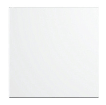 Панель декоративная AEON D100/125 175х175 пластик Matt white DICITI