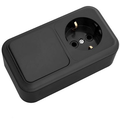 Блок ОУ 1кл. выкл.+ розетка с/з Черный Пралеска Bylectrica