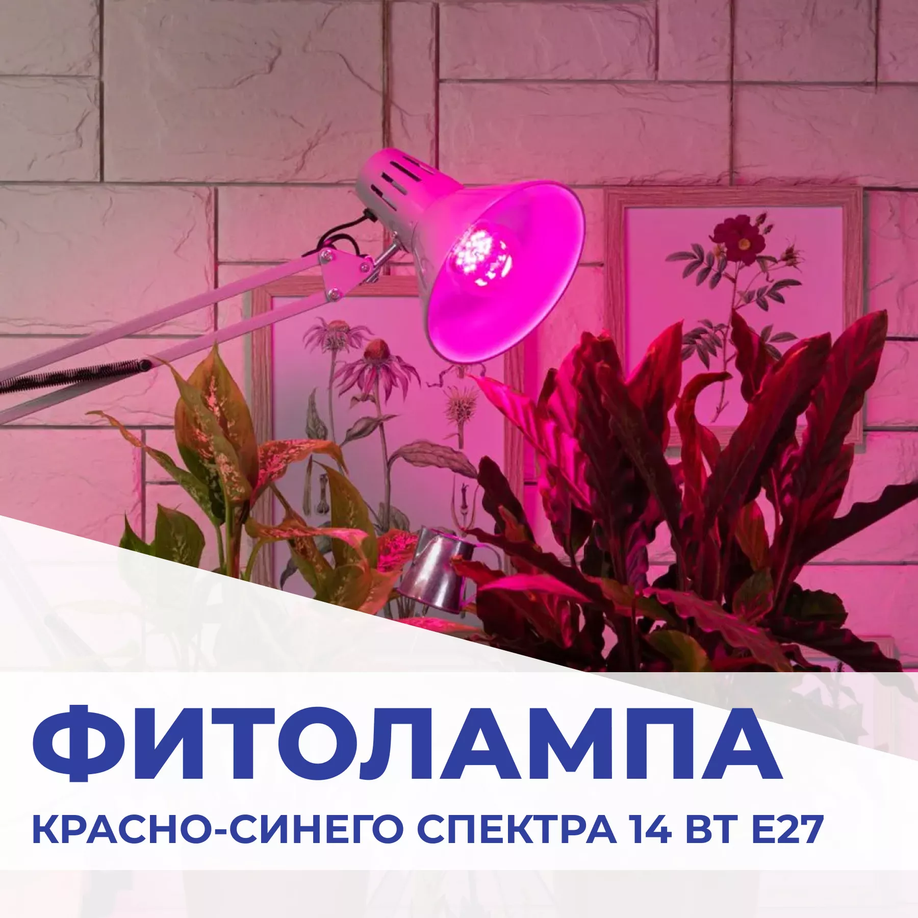 Растениям не хватает солнца?