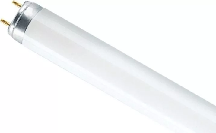 Люминесцентная лампа L18W/840 25X1 FED OSRAM