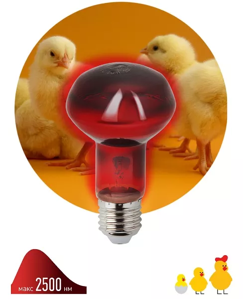 Инфракрасная лампа ИКЗК 230-60 R63 Е27 для обогрева животных 60 Вт Е27 ЭРА