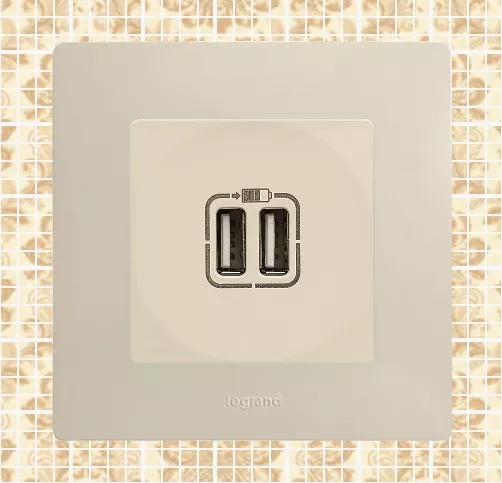 Розетка USB (2-я тип А, 2,4А) Сл.Кость ETIKA LEGRAND