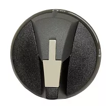 Рукоятка выносная  CLBS-EH80/G (для CLBS 16-80A 3P)