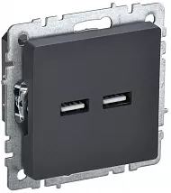 Розетка USB 2-я (A+A 5В 3,1А) графит BRITE IEK