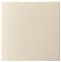 Панель декоративная AEON D100/125 175х175 пластик Ivory DICITI