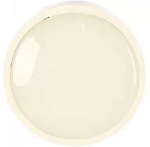 Светильник LED ЖКХ СПБ-2 24W 1700Lm 4000K IP20 круг IN HOME