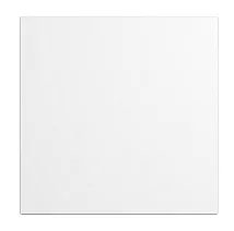 Панель декоративная AEON D100/125 175х175 пластик Matt white DICITI